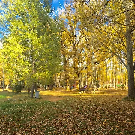 Selva Nevada アパートホテル 2*