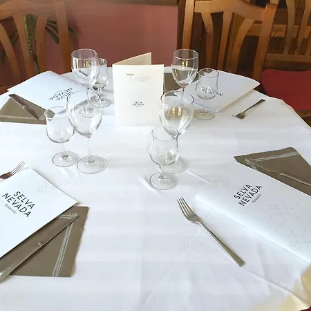 Selva Nevada 2* La Virgen de la Vega