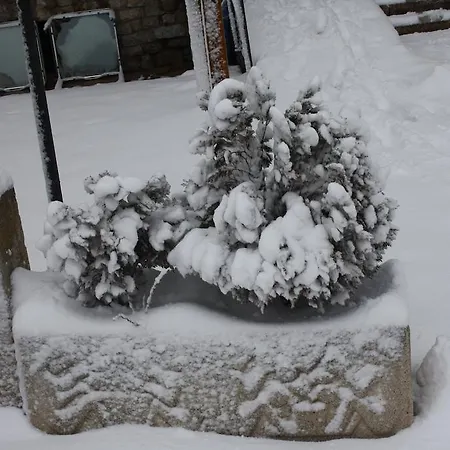 アパートホテル Selva Nevada