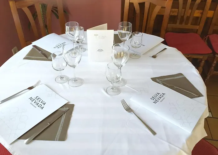 Selva Nevada 2* La Virgen de la Vega