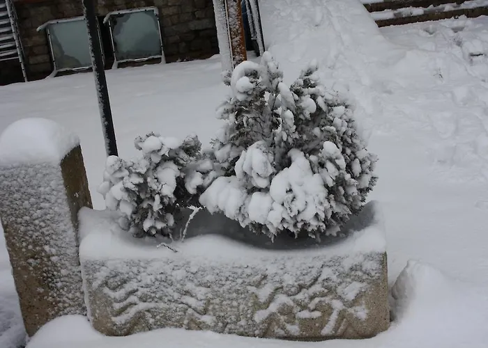 公寓式酒店 Selva Nevada